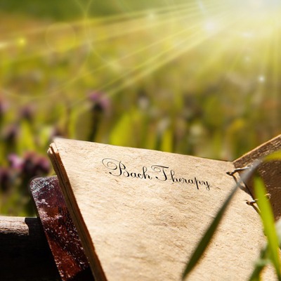 Ανθοϊάματα bach: Σύμμαχος για έναν αναζωογονητικό ύπνο