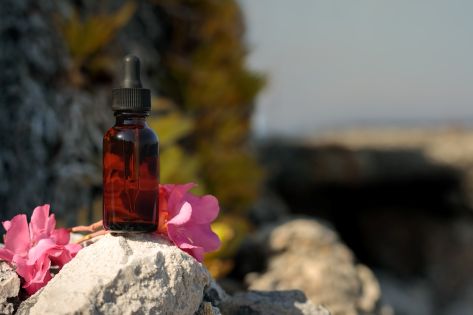 Πού Αγοράζεις Ανθοϊάματα Bach: Φαρμακείο, Online ή Εξειδικευμένη Σύμβουλος;